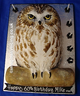 Owl Shaped Birthday Cake