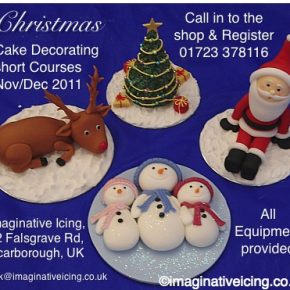 Christmas Cake Decorating Courses 2011 - Register Today!